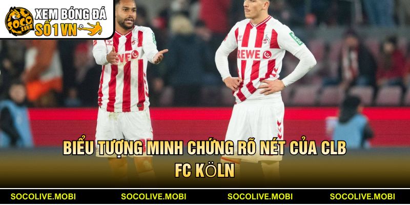 Biểu tượng minh chứng rõ nét của CLB FC Köln